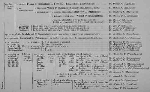 Synopsis of One Hundred Families of Seedworts. Part 2