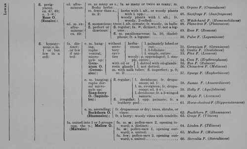 Synopsis of One Hundred Families of Seedworts. Part 3