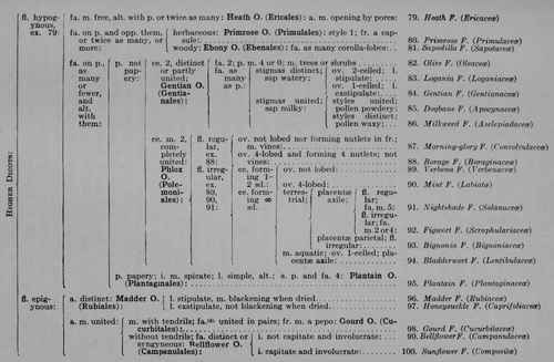 Synopsis of One Hundred Families of Seedworts. Part 5