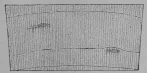 Fig. 240. Transverse section of birch wood, 3/1.