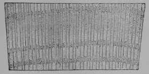 Fig. 239. Transverse section of plum wood, 3/1.