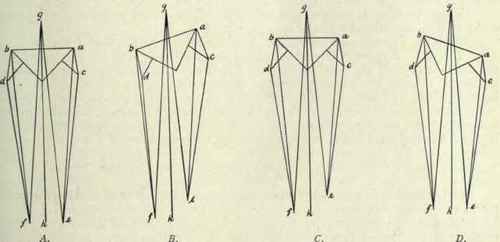 Fig. 498.   Measurements of the lower limbs, viewed from the front, a, left anterior superior spine; b, right anterior superior spine; c, left trochanter; d, right trochanter; e, left internal malleolus; f, right internal malleolus; g, umbilicus; h, lower end of median line.