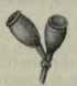 Eucalyptus Hemiphloia F v M 191