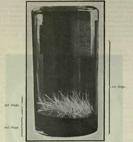 Eudesmol the Bicyclic Sesquiterpene Alcohol of Euc 268