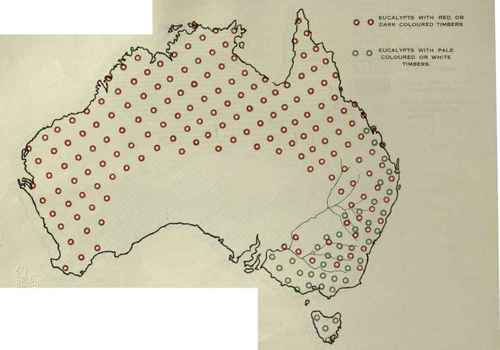 The Probable Evolution of the Eucalypts Part 3 8