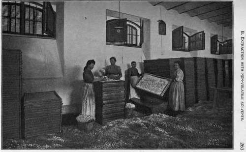 Fig. 63.