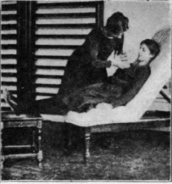 Fig. 121