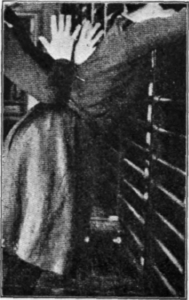 Fig. 19