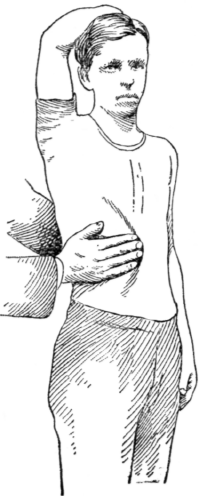 Fig. 28.   Vibration of the Liver.