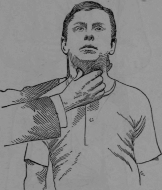 Fig. 31.   Vibration of the Larynx.