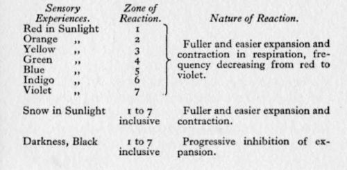 Sensory Experience of Sight