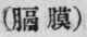 A Modern Chinese Anatomist 664