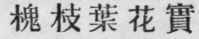 Appendix 169