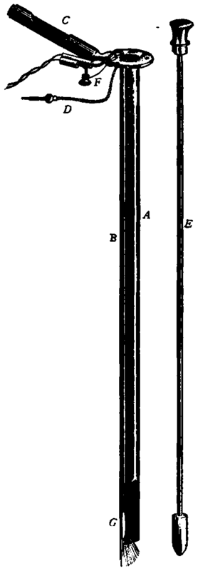 The Oesopha gosoope; lower part partially removed to show its construction. (1/3 natural size).