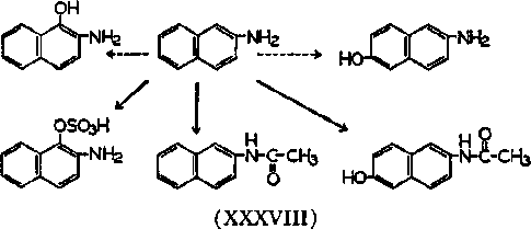 Aromatic Amines 32