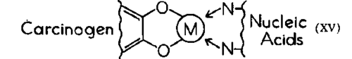 Carcinogenic Compounds And Chelating Agents 13