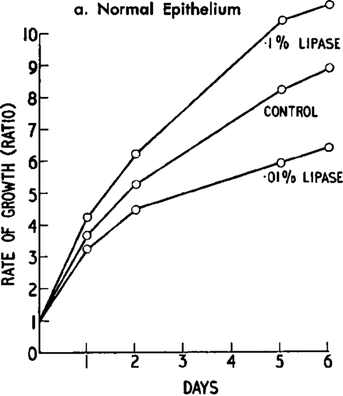 4 Model System For Cysteine Desulfhydrase 27