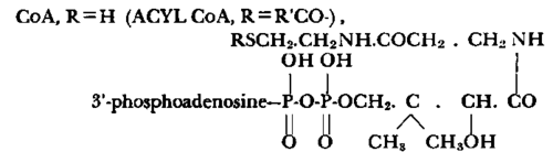 Coenzyme I