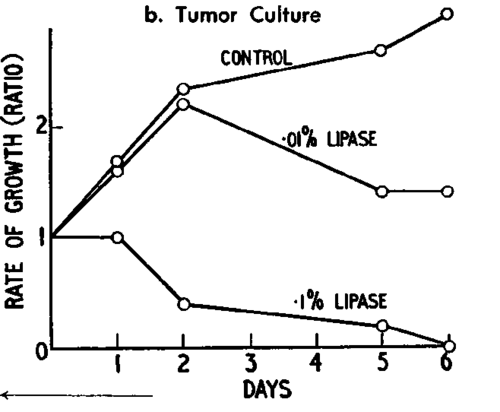 Effect of wheatgerm
