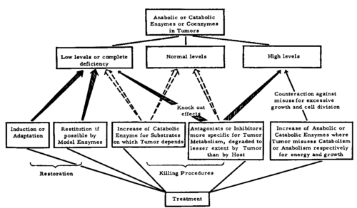 How to influence therapeutically enzyme