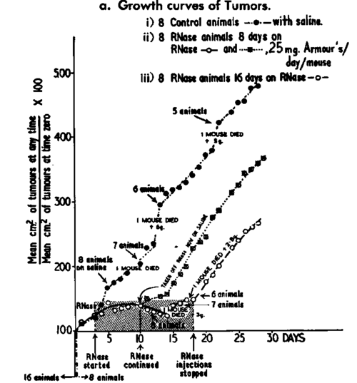 a and b. Effect of RNase injections on the growth of spontaneous mammary tumors