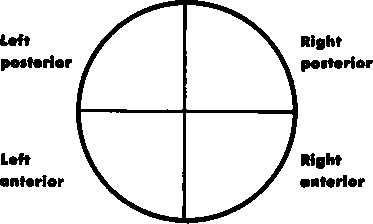 By quadrants