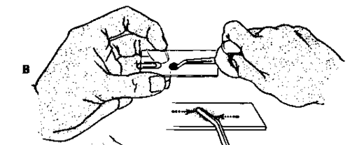 Spread quickly with the side of the pipette