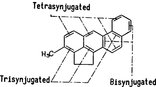 Synjugation in 20 Methylcholanthrene