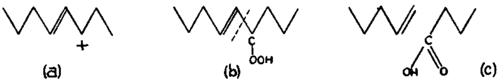 The oxidative breaking down of a fatty acid molecule