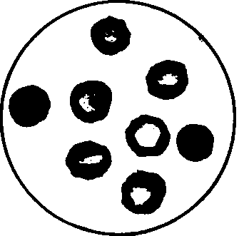 The treatment of red cells in vitro