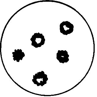 The treatment of red cells in vitro