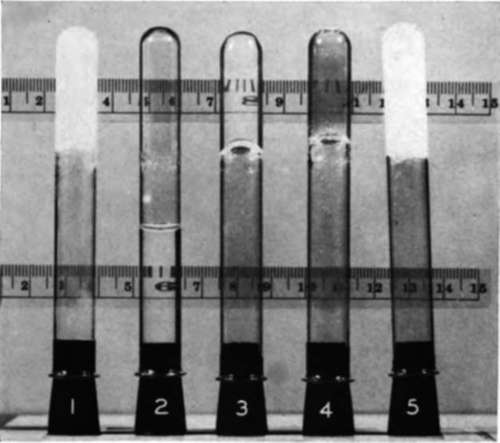 Influence of reagents on thermal coagulum of bovine plasma albumin