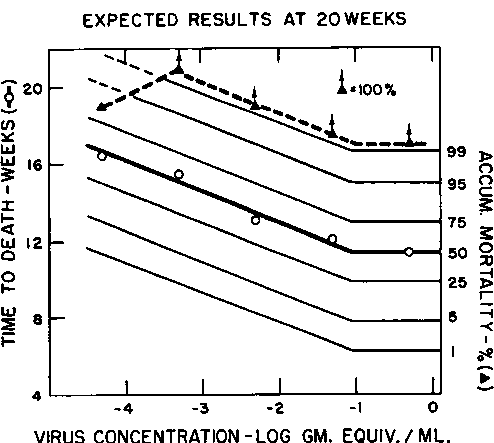 Responses of BALB/c mice inoculated when 1 or 2 days old