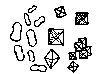 Fig. 327. Crystals of Oxalate of Lime.