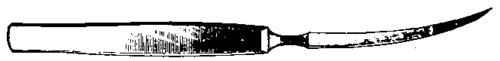 Fig. 389. Lancet.