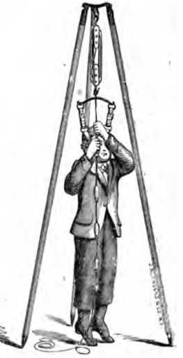 Fig. 401. Spinal Swing.