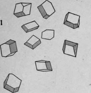 2 Polyhedrons HistologyOfMedicinalPlants 174
