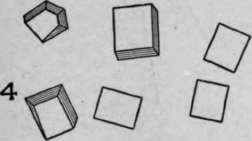 2 Polyhedrons HistologyOfMedicinalPlants 177