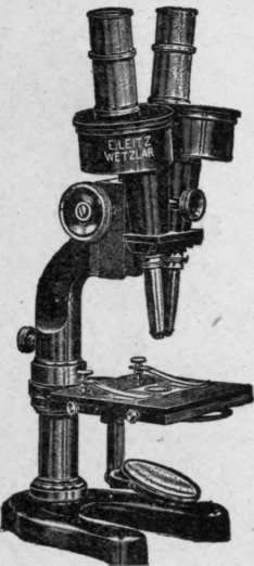 Greenough Binocular Microscope.