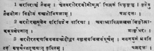 Alstonia Scholaris R Br Sans 525