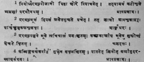 Mallotus Philippensis Mull Syn Rottlera Tinctoria  640