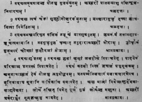 Nat Order Capparidaceie Crataeva Religiosa Cappari 318