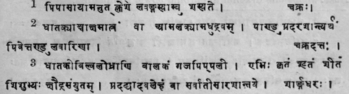 Nat Order Lythraceae Woodfordia Floribunda Salisb  454