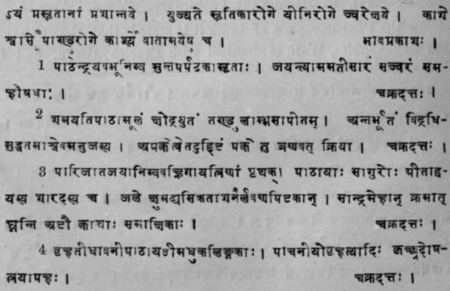 Nat Order Menispermaceae Stephania Hernandifolia C 297