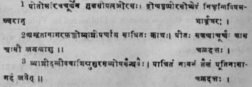 Ocimum Basilicum Linn Sun Ocimum Pilosum Willd San 608