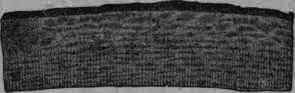 Fig. 268. Mezereum: transverse section, magnified 15 diam.