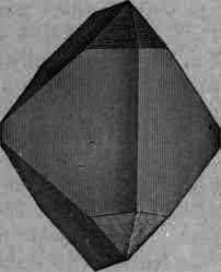 Fig. 464.   Corrosive mercuric chloride crystal.
