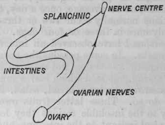 Fig. 139.   Diagram to show the way in which ovarian irritation probably causes constipation.