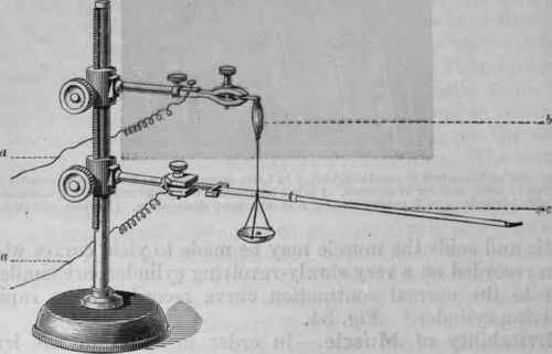 Fig. 37.   Apparatus for registering muscular contraction. It consists of an uprightstand on which two horizontal bars may be moved by a rack and pinion.