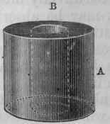 Fig. 7.   Diagrammatic representation of the body